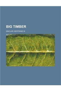 Big Timber