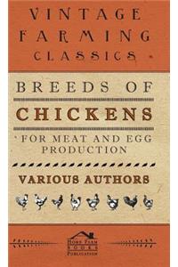 Breeds of Chickens for Meat and Egg Production