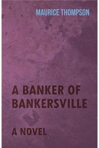 A Banker of Bankersville - A Novel