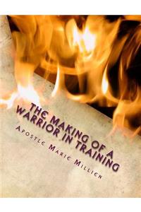 Making of a Warrior In Training: W.I.T. Manual