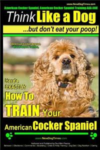 American Cocker Spaniel, American Cocker Spaniel Training AAA AKC