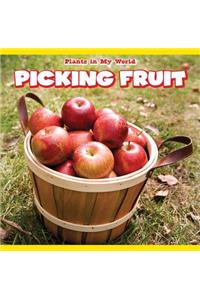 Picking Fruit