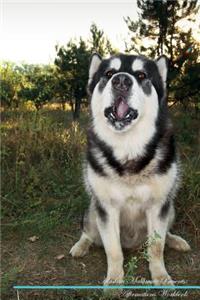 Alaskan Malamute Affirmations Workbook Alaskan Malamute Presents: Positive and Loving Affirmations Workbook. Includes: Mentoring Questions, Guidance, Supporting You.