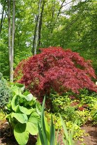 Summer Landscaping Journal