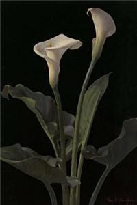 Calla Lilies Journal