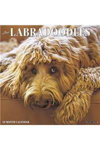 Just Labradoodles 2019 Wall Calendar (Dog Breed Calendar)