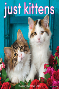 Kittens 2026 12 X 12 Wall Calendar