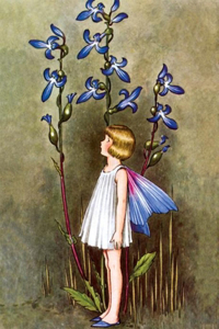 Fairy with Blue Lobelia Blank Greeting Card