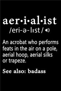 Aerialist Definition Notebook
