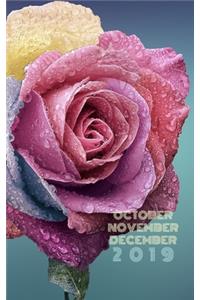 October, November, December 2019