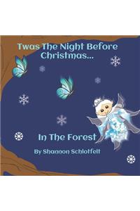 Twas The Night Before Christmas in the Forest