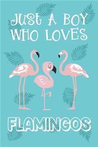 Just A Boy Who Loves Flamingos