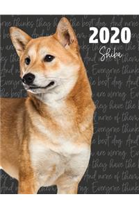 2020 Shiba