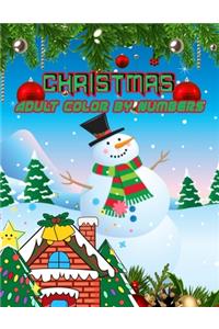 Christmas Adult Color By Numbers