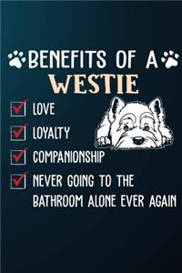 Benefits Of A Westie