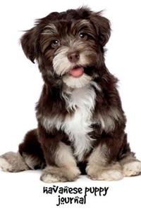 Havanese Puppy Journal