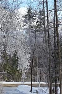 2019 Daily Planner Winter Ice Storm Birch Tree Snow Covered 384 Pages