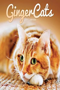 GINGER CATS W 2019