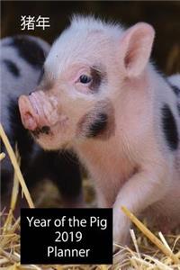 猪 年 Year of the Pig 2019 Planner