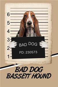 Bad Dog Bassett Hound