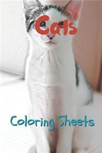 Cat Coloring Sheets