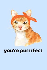 You're Purrrfect