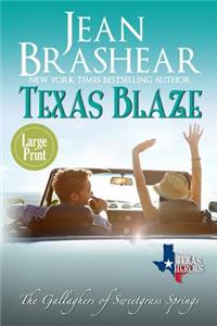 Texas Blaze (Large Print Edition)