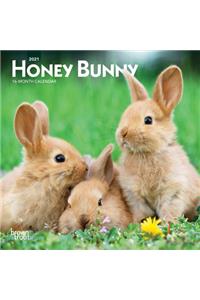 Honey Bunny 2021 Mini 7x7