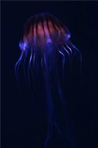 Jellyfish Notebook