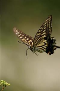 Swallowtail Notebook