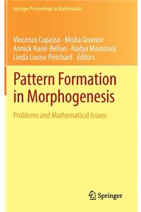 Pattern Formation in Morphogenesis