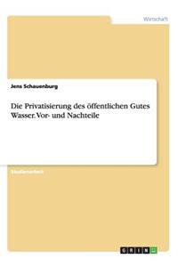 Privatisierung des öffentlichen Gutes Wasser. Vor- und Nachteile