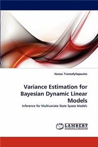 Variance Estimation for Bayesian Dynamic Linear Models