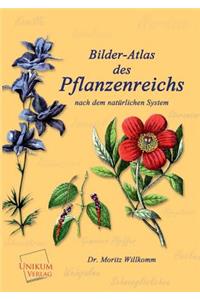 Bilder-Atlas Des Pflanzenreichs