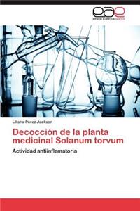 Decocción de la planta medicinal Solanum torvum