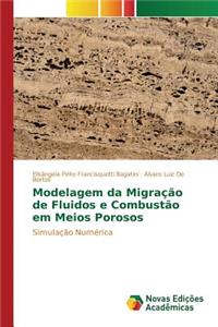 Modelagem da Migração de Fluidos e Combustão em Meios Porosos