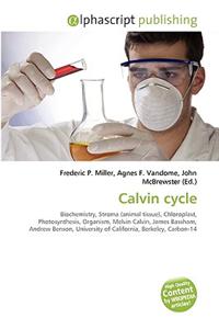 Calvin Cycle
