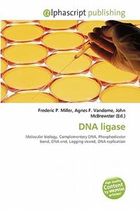 DNA Ligase