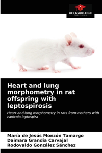 Heart and lung morphometry in rat offspring with leptospirosis