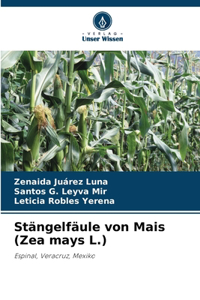 Stängelfäule von Mais (Zea mays L.)