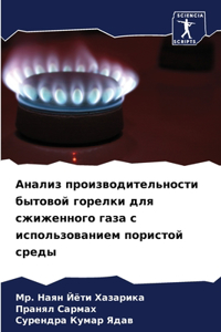 Анализ производительности бытовой горел&