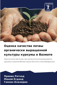 Оценка качества почвы органически выраще