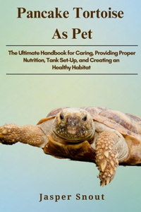 Pancake Tortoise as Pets