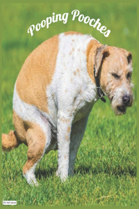 Pooping Pooches 2021 Wall Calendar
