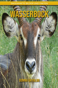 Wasserbock