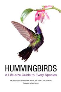 Hummingbirds