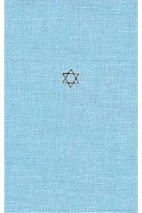 Talmud of the Land of Israel, Volume 7, 7