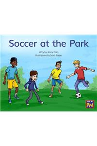 Soccer at the Park