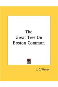 The Great Tree On Boston Common