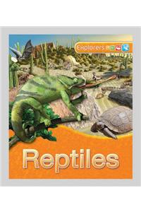 Reptiles